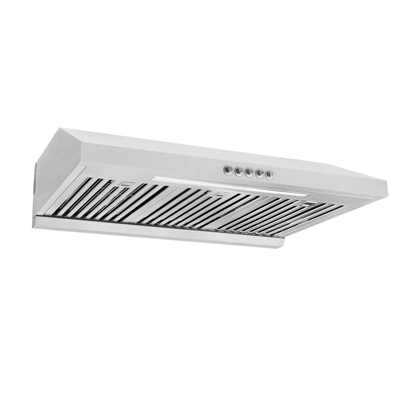 Waterloo 850CFM 30'' Stainless Steel Under Cabinet Range Hoods